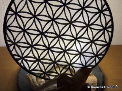 Workshop Trostberg - Blume des Lebens