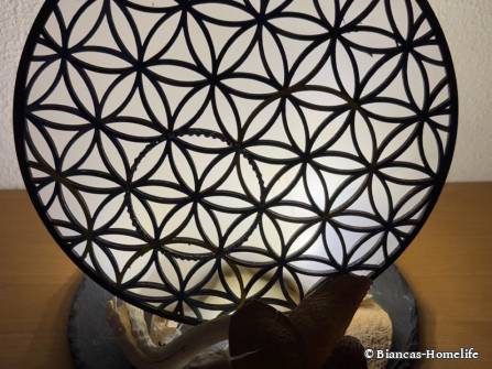 Workshop Trostberg - Blume des Lebens