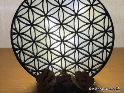 Workshop Trostberg - Blume des Lebens