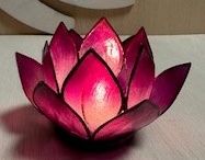 Lotosblüte Lotoslicht