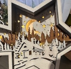 Weihnachtsstern Detail